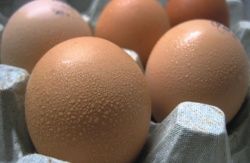 Важность предотвращения «потения» яйца