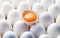 Влияние облучения яиц на физико-химические и функциональные свойства жидкого белка