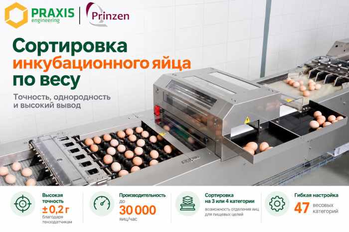Сортировка инкубационного яйца по весу