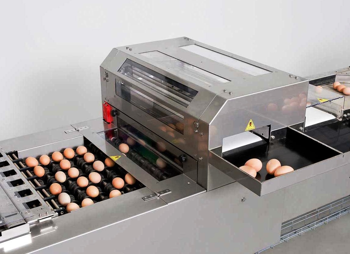 Ovograder 20/30: автоматический сортировщик яиц