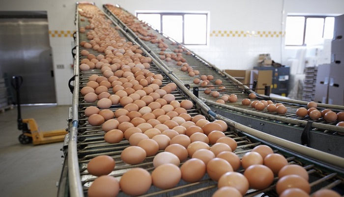 Яйца в Новосибирске снова дорожают: плюс 6,9% за сентябрь