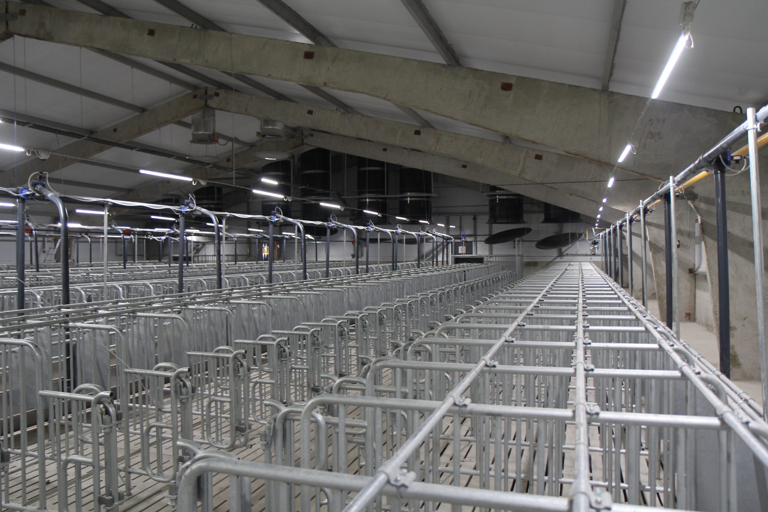 Светодиодное освещение птицефабрики