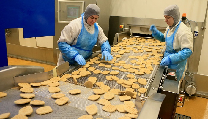 Выпуск оборудования для мясопереработки и животноводства в РФ за 10 мес. 2025 г. снизился на 11,5%, до 2,4 млрд рублей