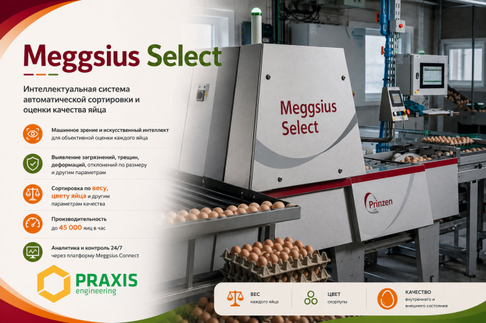Meggsius Select: интеллектуальная система автоматической сортировки и оценки качества яйца