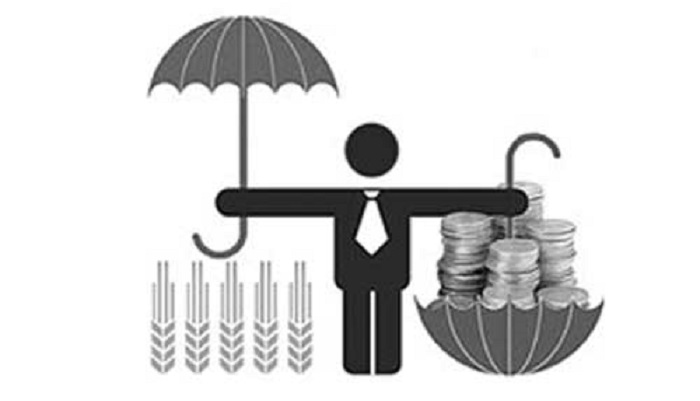 За 11 месяцев аграрии получили более 8 млрд рублей страховых выплат