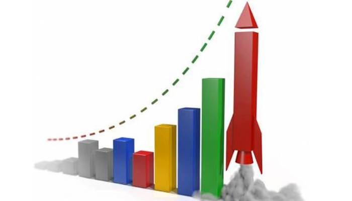 Экспорт мяса птицы из России в Африку в 2025 году