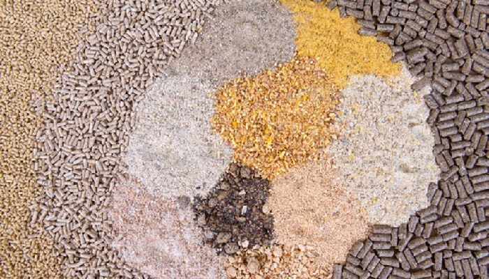 Российские ученые создали программное обеспечение для проектирования кормов и пробиотиков