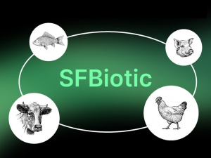 Уникальная метабиотическая добавка «SFBiotic»