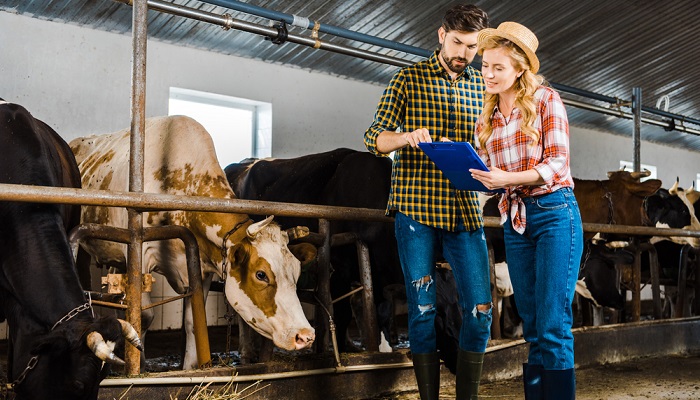 Снижение ключевой ставки ЦБ: Как это влияет на кредитование в аграрном секторе