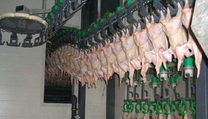 После продолжительного снижения цены на курятину начали расти