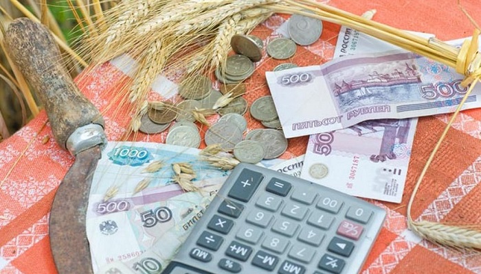 Минсельхоз России: птицеводство в центре льготного кредитования