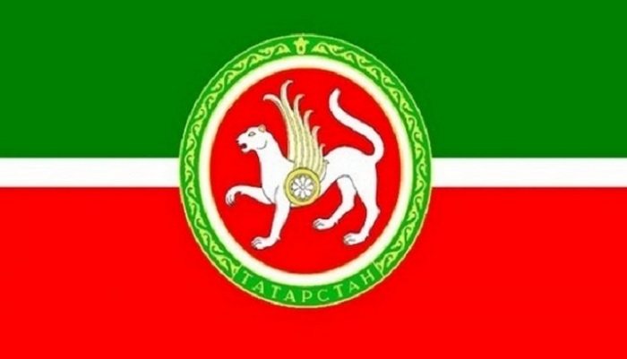 Протесты против строительства птицефабрики в Пестречинском районе Татарстана