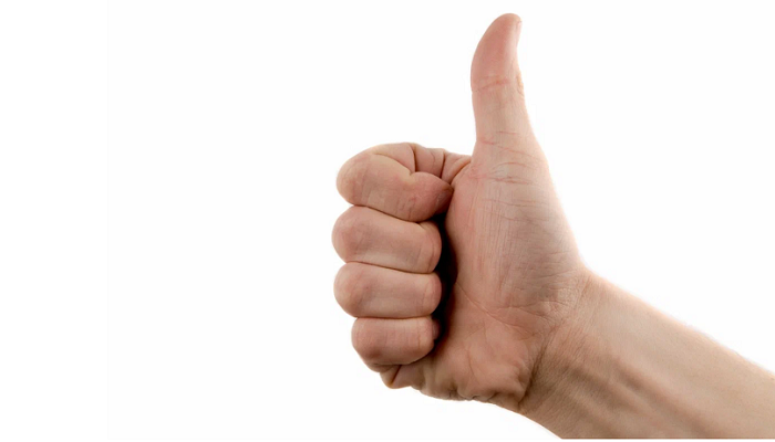 Под Славском построят бройлерную птицефабрику