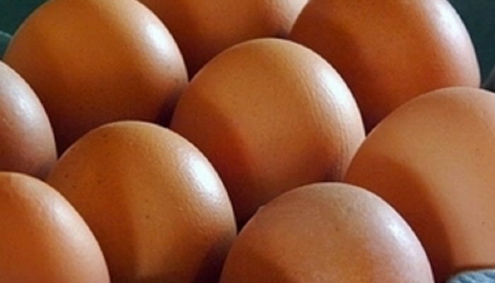 Тенденции сокращения производства куриных яиц в Воронежской области