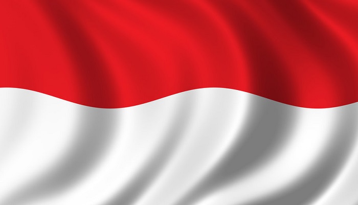 Индонезийское птицеводство: перспективы роста и ожидания