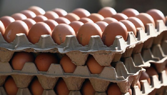 Власти объяснили рост цен на яйца увеличением их себестоимости