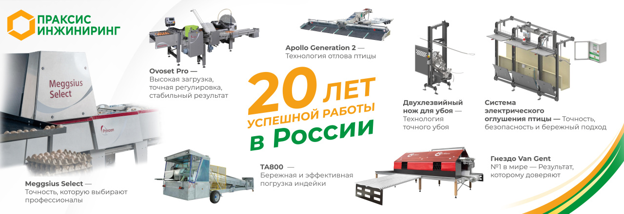 Праксис Инжиниринг