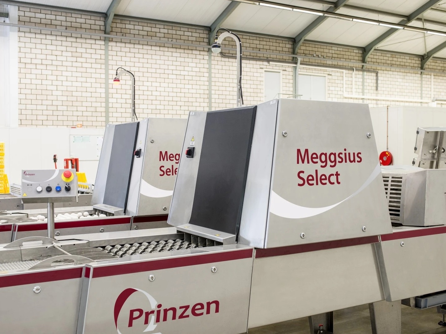 Meggsius Select: интеллектуальная сортировка яиц