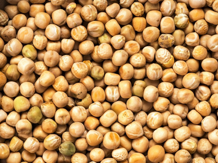 Влияние добавления соевого шрота и гороха на показатели роста, характеристики тушки и усвояемость питательных веществ у цыплят-бройлеров, получавших рацион на основе пшеницы