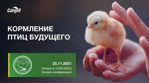Онлайн-конференция Каргилл «Кормление птиц будущего»