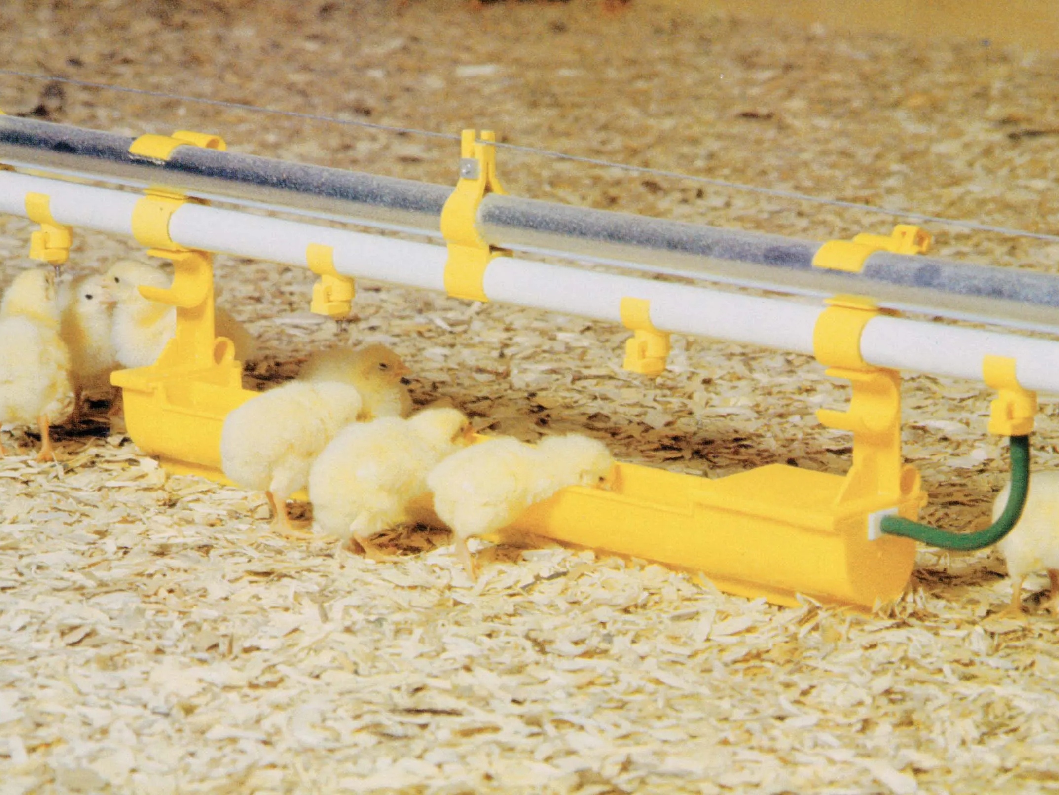 Мини-поилка VM100