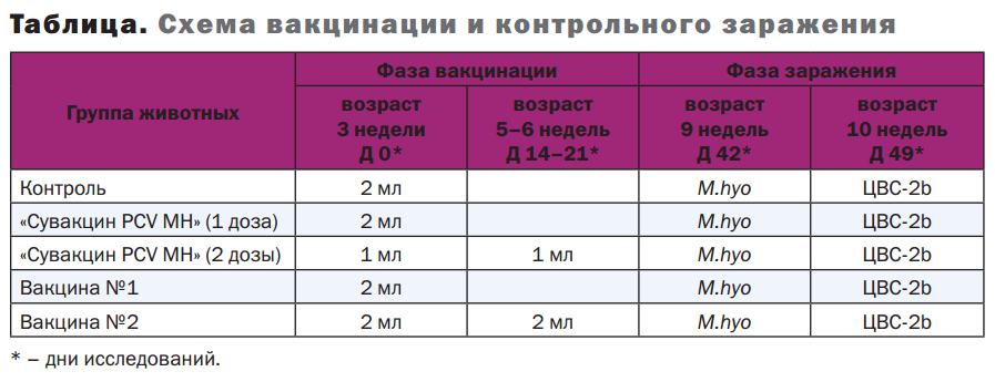 Схема вакцинации свиней по возрасту